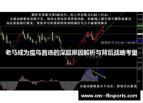 老马成为魔鸟首选的深层原因解析与背后战略考量 老马成为魔鸟首选的深层原因解析与背后战略考量