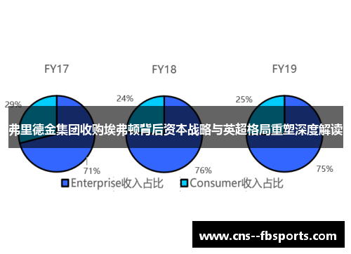 弗里德金集团收购埃弗顿背后资本战略与英超格局重塑深度解读 弗里德金集团收购埃弗顿背后资本战略与英超格局重塑深度解读